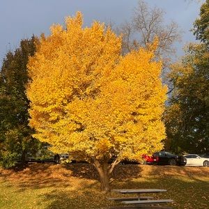 Meet your Posher, Tara